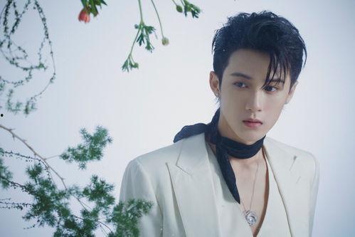 檀健次最新爆料,娱乐圈背后的惊人真相